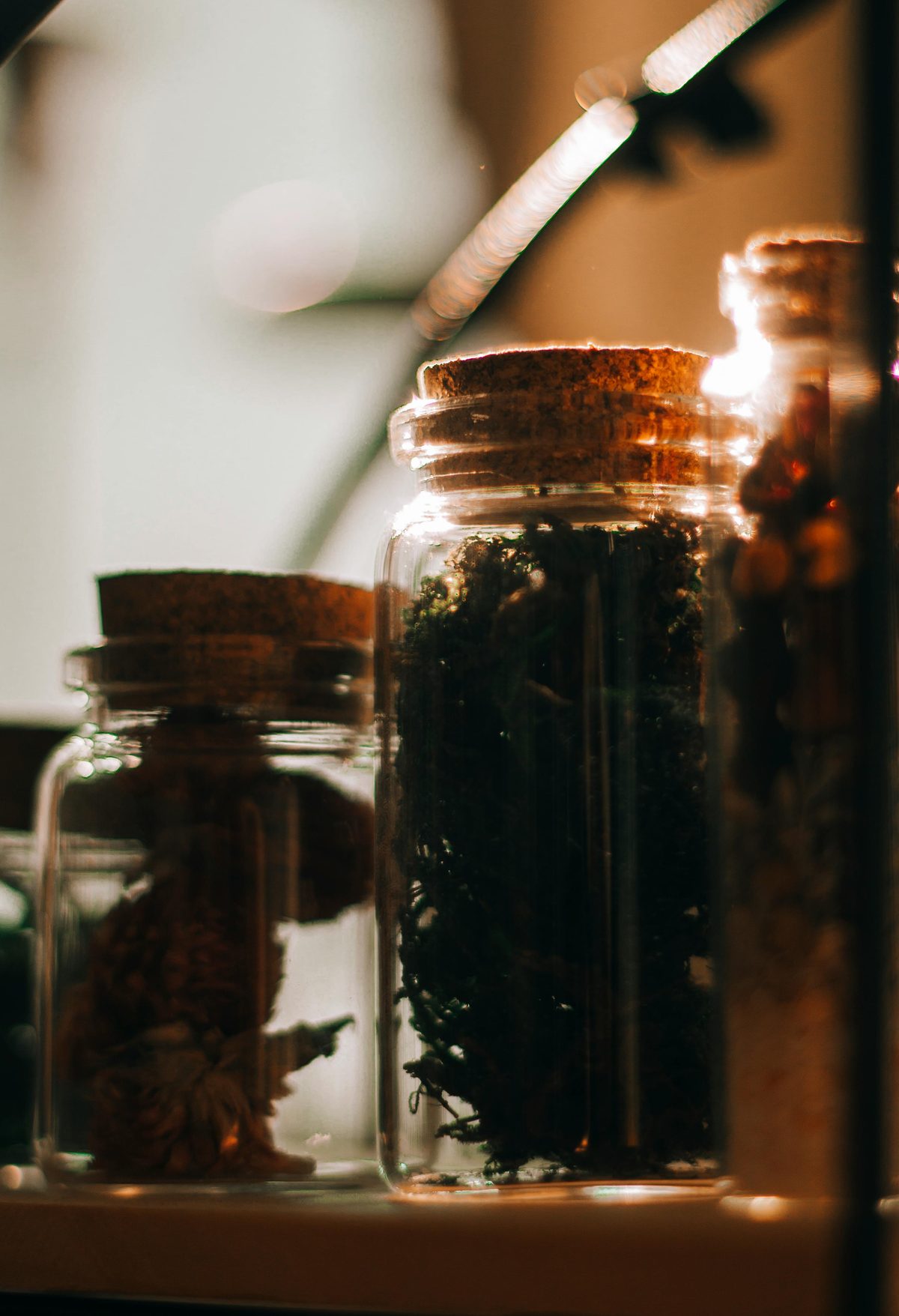 Glass jars of dried herbs with cork stoppers on a windowsill